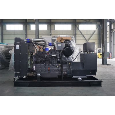 250KW柴油发电机组